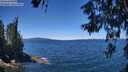 ./images/koeye/fitz-hugh/20260612/fitz-hugh20260612_124001M.jpg