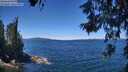 ./images/koeye/fitz-hugh/20260612/fitz-hugh20260612_124501M.jpg