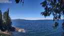 ./images/koeye/fitz-hugh/20260612/fitz-hugh20260612_125501M.jpg