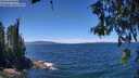 ./images/koeye/fitz-hugh/20260612/fitz-hugh20260612_132001M.jpg