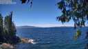 ./images/koeye/fitz-hugh/20260612/fitz-hugh20260612_132501M.jpg
