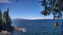 ./images/koeye/fitz-hugh/20260612/fitz-hugh20260612_133002M.jpg