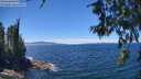 ./images/koeye/fitz-hugh/20260612/fitz-hugh20260612_133501M.jpg