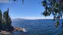 ./images/koeye/fitz-hugh/20260612/fitz-hugh20260612_135001M.jpg