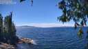 ./images/koeye/fitz-hugh/20260612/fitz-hugh20260612_140002M.jpg