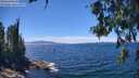 ./images/koeye/fitz-hugh/20260612/fitz-hugh20260612_140501M.jpg