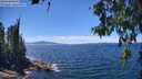 ./images/koeye/fitz-hugh/20260612/fitz-hugh20260612_141501M.jpg
