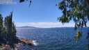 ./images/koeye/fitz-hugh/20260612/fitz-hugh20260612_142501M.jpg
