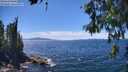 ./images/koeye/fitz-hugh/20260612/fitz-hugh20260612_143001M.jpg