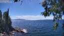 ./images/koeye/fitz-hugh/20260612/fitz-hugh20260612_143502M.jpg