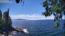 ./images/koeye/fitz-hugh/20260612/fitz-hugh20260612_144501M.jpg