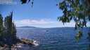 ./images/koeye/fitz-hugh/20260612/fitz-hugh20260612_145001M.jpg