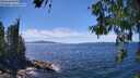 ./images/koeye/fitz-hugh/20260612/fitz-hugh20260612_145501M.jpg