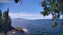 ./images/koeye/fitz-hugh/20260612/fitz-hugh20260612_150001M.jpg