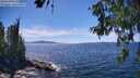 ./images/koeye/fitz-hugh/20260612/fitz-hugh20260612_150501M.jpg