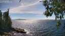 ./images/koeye/fitz-hugh/20260612/fitz-hugh20260612_155501M.jpg