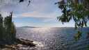 ./images/koeye/fitz-hugh/20260612/fitz-hugh20260612_160501M.jpg