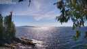 ./images/koeye/fitz-hugh/20260612/fitz-hugh20260612_161501M.jpg
