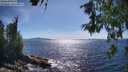 ./images/koeye/fitz-hugh/20260612/fitz-hugh20260612_164001M.jpg