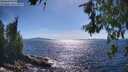 ./images/koeye/fitz-hugh/20260612/fitz-hugh20260612_164501M.jpg