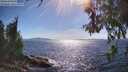 ./images/koeye/fitz-hugh/20260612/fitz-hugh20260612_165001M.jpg