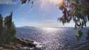 ./images/koeye/fitz-hugh/20260612/fitz-hugh20260612_165501M.jpg