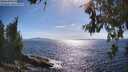 ./images/koeye/fitz-hugh/20260612/fitz-hugh20260612_170501M.jpg