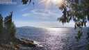 ./images/koeye/fitz-hugh/20260612/fitz-hugh20260612_172001M.jpg