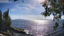 ./images/koeye/fitz-hugh/20260612/fitz-hugh20260612_172501M.jpg