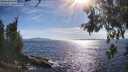 ./images/koeye/fitz-hugh/20260612/fitz-hugh20260612_173501M.jpg