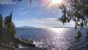 ./images/koeye/fitz-hugh/20260612/fitz-hugh20260612_174001M.jpg
