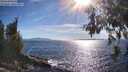 ./images/koeye/fitz-hugh/20260612/fitz-hugh20260612_174501M.jpg