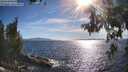 ./images/koeye/fitz-hugh/20260612/fitz-hugh20260612_175501M.jpg