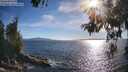 ./images/koeye/fitz-hugh/20260612/fitz-hugh20260612_182501M.jpg