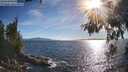 ./images/koeye/fitz-hugh/20260612/fitz-hugh20260612_183001M.jpg