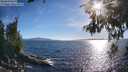 ./images/koeye/fitz-hugh/20260612/fitz-hugh20260612_184001M.jpg