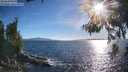 ./images/koeye/fitz-hugh/20260612/fitz-hugh20260612_184501M.jpg