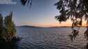 ./images/koeye/fitz-hugh/20260612/fitz-hugh20260612_220501M.jpg