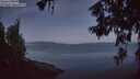 ./images/koeye/fitz-hugh/20260613/fitz-hugh20260613_042001M.jpg