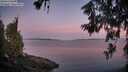 ./images/koeye/fitz-hugh/20260613/fitz-hugh20260613_050002M.jpg