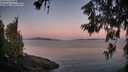 ./images/koeye/fitz-hugh/20260613/fitz-hugh20260613_051001M.jpg