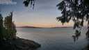 ./images/koeye/fitz-hugh/20260613/fitz-hugh20260613_053001M.jpg