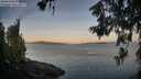 ./images/koeye/fitz-hugh/20260613/fitz-hugh20260613_054001M.jpg