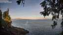 ./images/koeye/fitz-hugh/20260613/fitz-hugh20260613_061001M.jpg