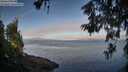 ./images/koeye/fitz-hugh/20260613/fitz-hugh20260613_070501M.jpg