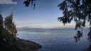 ./images/koeye/fitz-hugh/20260613/fitz-hugh20260613_071001M.jpg