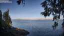 ./images/koeye/fitz-hugh/20260613/fitz-hugh20260613_072001M.jpg