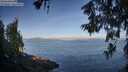 ./images/koeye/fitz-hugh/20260613/fitz-hugh20260613_072501M.jpg