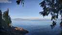 ./images/koeye/fitz-hugh/20260613/fitz-hugh20260613_073501M.jpg
