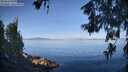 ./images/koeye/fitz-hugh/20260613/fitz-hugh20260613_075002M.jpg